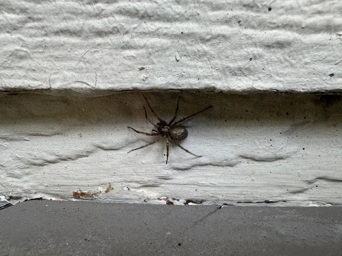 Hi-Tech Pest Control Picture 2
