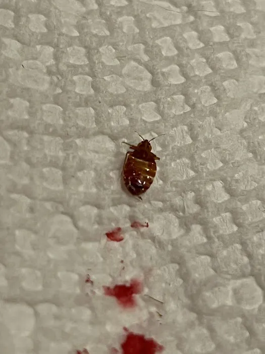 Hi-Tech Pest Control Picture 8
