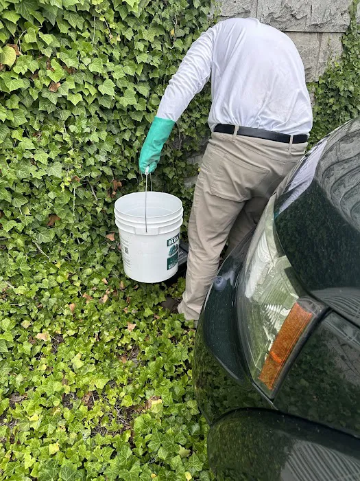 Greenix Pest Control Picture 5