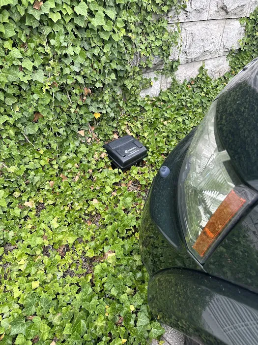 Greenix Pest Control Picture 6