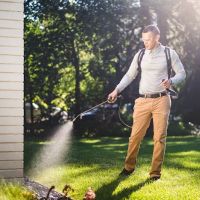 Greenix Pest Control ico