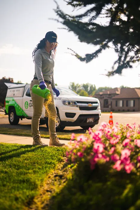Greenix Pest Control Picture 7