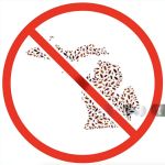 Pest Control Rochester Hills MI