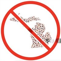 Pest Control Rochester Hills MI ico