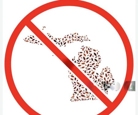 Pest Control Rochester Hills MI