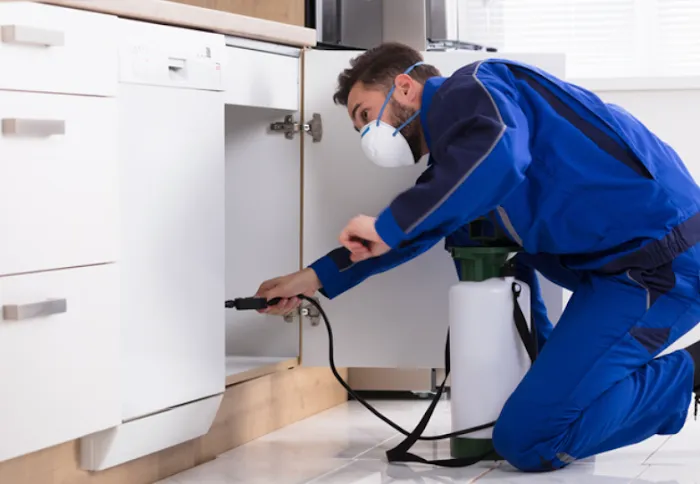 Pest Control Rochester Hills MI Picture 2