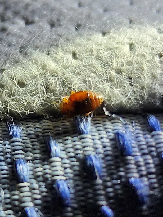 What's Bugging You? Picture 1