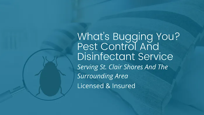 What's Bugging You? Picture 5