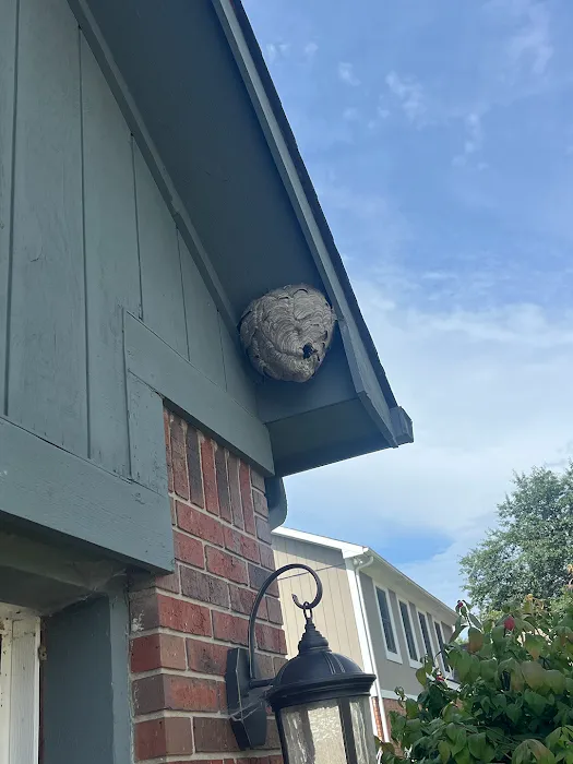 Freedom Pest Control Picture 10