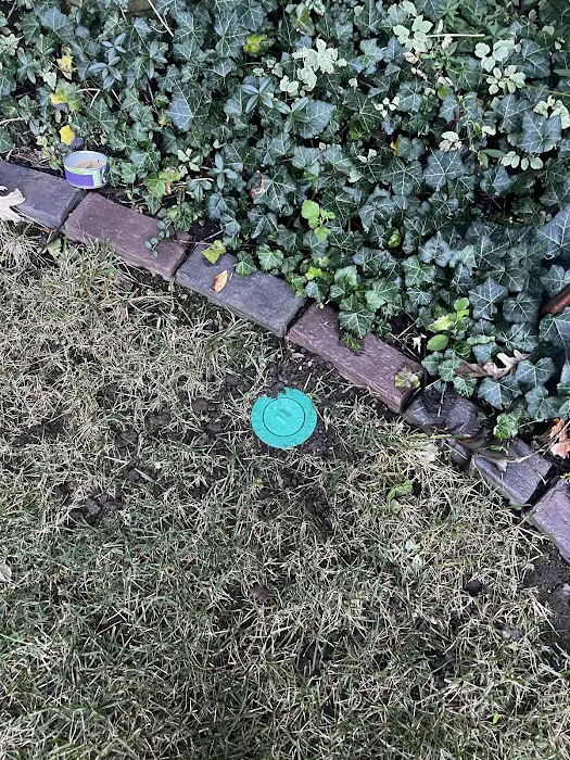 Rose Pest Solutions Indianapolis Picture 10