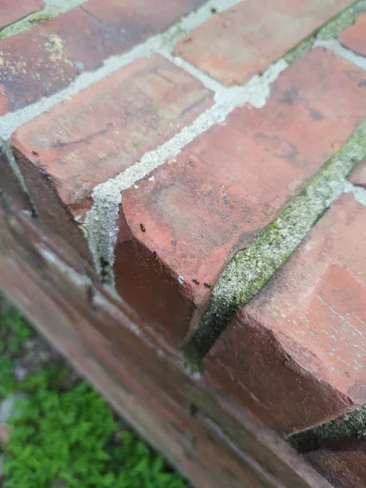 Greenix Pest Control Picture 3