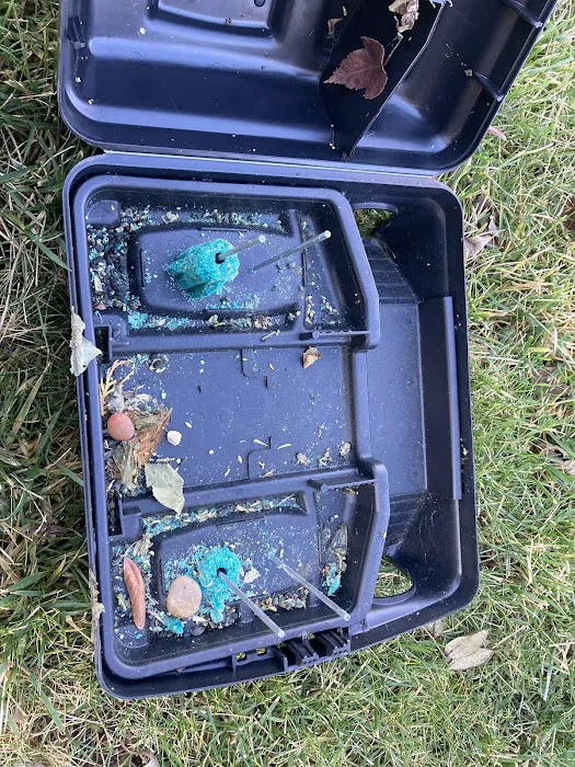 Greenix Pest Control Picture 8