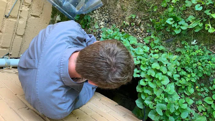 Black Widow Pest Control Picture 1