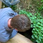 Black Widow Pest Control