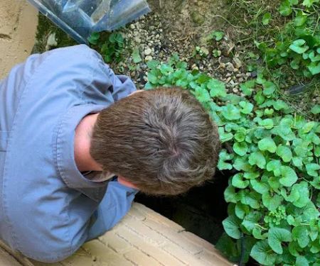 Black Widow Pest Control
