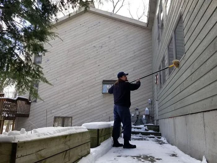 Franklin Pest Solutions Picture 1