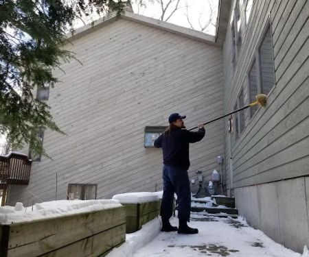Franklin Pest Solutions