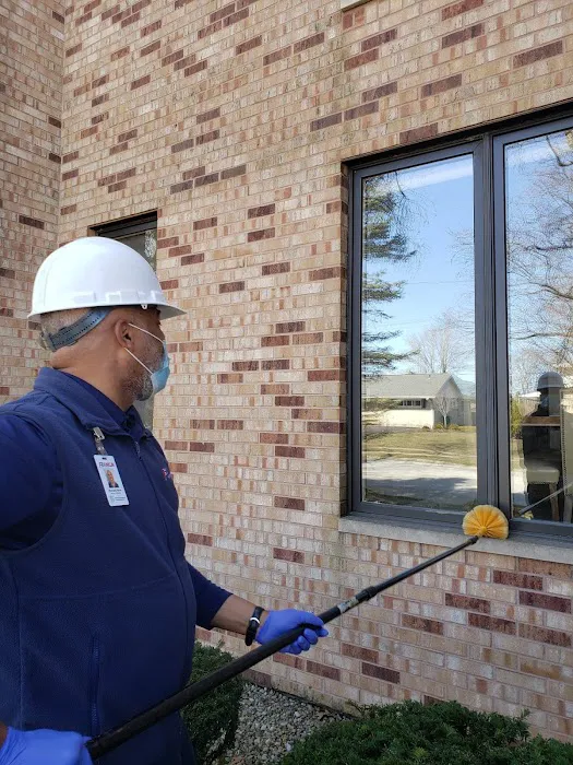 Franklin Pest Solutions Picture 2