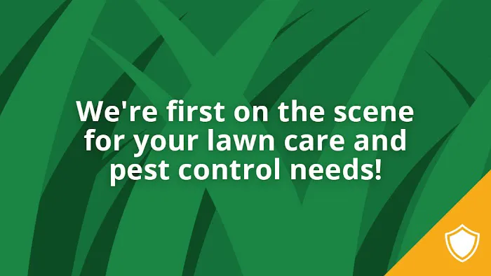 Green Scene Lawn and Pest Control Picture 1
