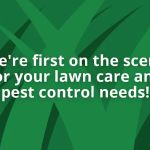 Green Scene Lawn and Pest Control