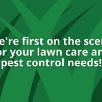 Green Scene Lawn and Pest Control ico