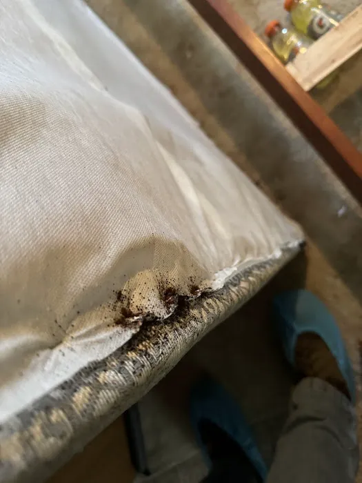 NeverPest Picture 1