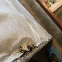 NeverPest ico