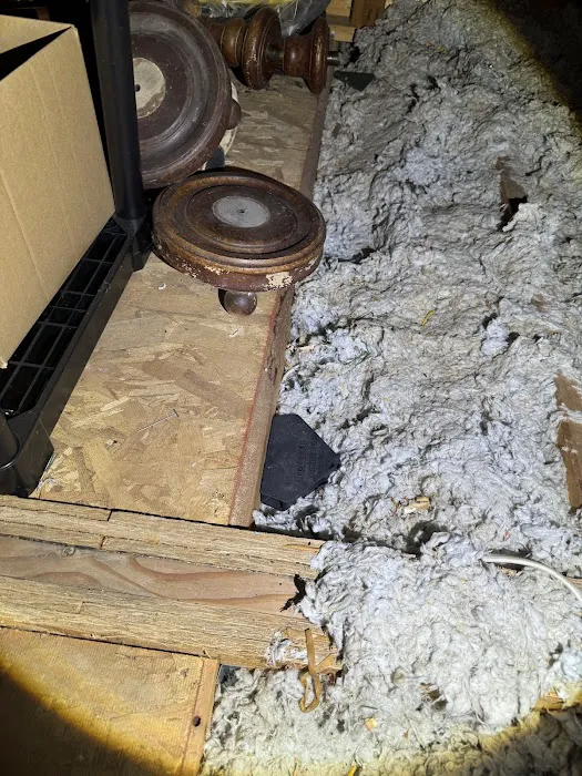 NeverPest Picture 4