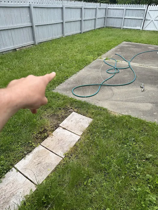 NeverPest Picture 5
