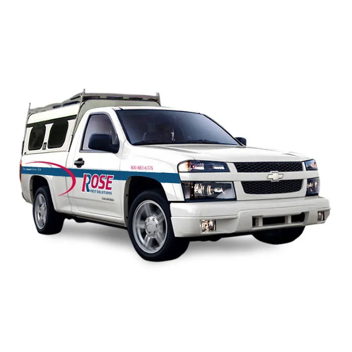 Rose Pest Solutions Kokomo Picture 4