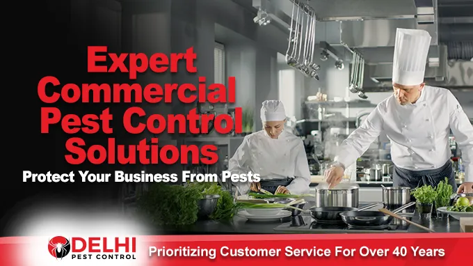 Delhi Pest Control Picture 4
