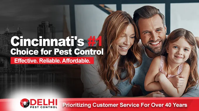 Delhi Pest Control Picture 5