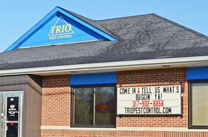 Trio Pest Control Picture 4