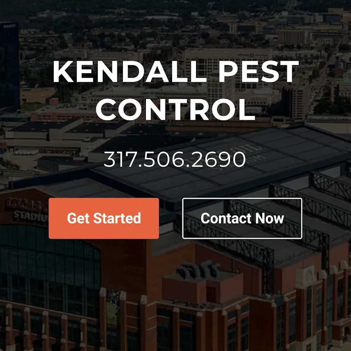 Kendall Pest Control // Locally owned // Pest & Rodent Services Picture 3