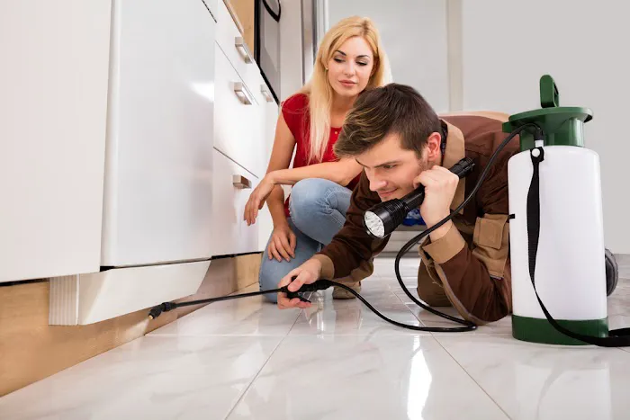 Bed Bug Exterminator Indianapolis Picture 6