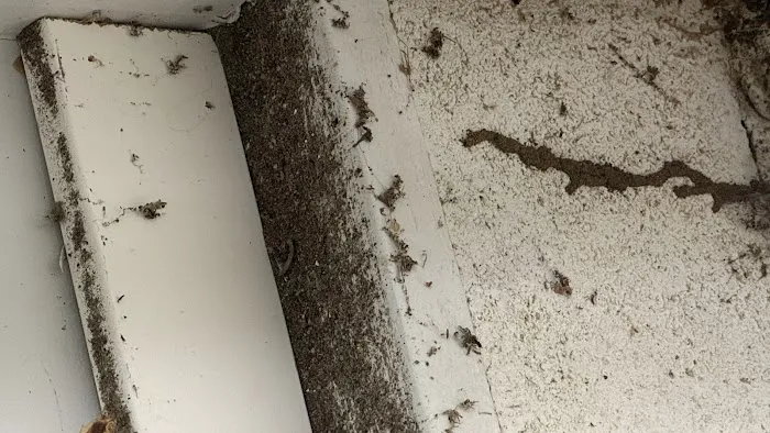 Anderson Termite & Pest Solutions..Locally owned in Greenwood.. pest, termite, rodent contol Picture 6