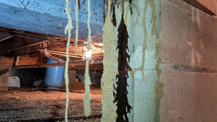 Anderson Termite & Pest Solutions..Locally owned in Greenwood.. pest, termite, rodent contol Picture 3