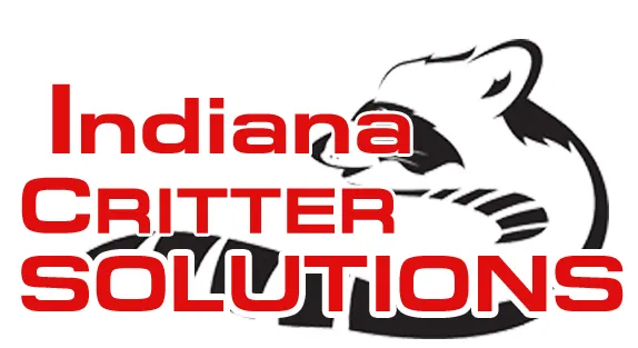 Indiana Critter Solutions Picture 1