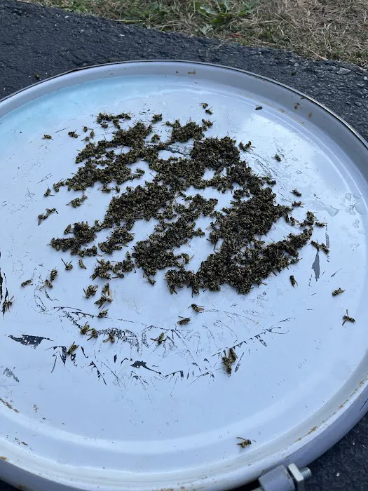 Vaught Pest Control Services Picture 3