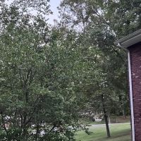 Vaught Pest Control Services ico