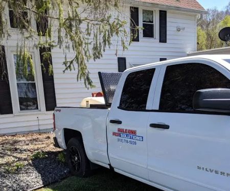 Rule One Pest Solutions Termite & Pest