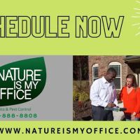 Nature Is My Office LLC. ico