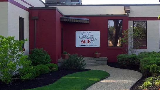 Ace Exterminating Picture 1