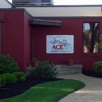 Ace Exterminating ico