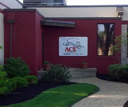 Ace Exterminating