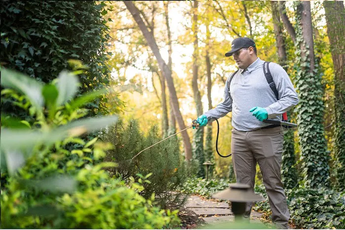 Greenix Pest Control Picture 6