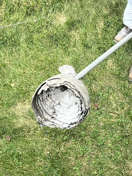 Greenix Pest Control Picture 10