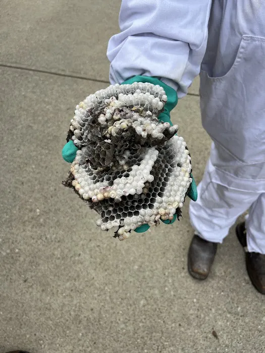 Greenix Pest Control Picture 8