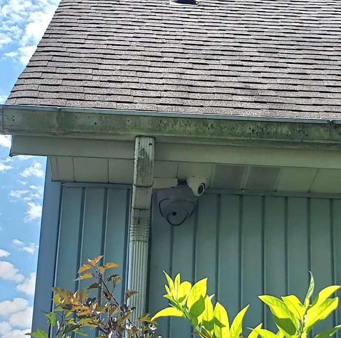 Greenix Pest Control Picture 3