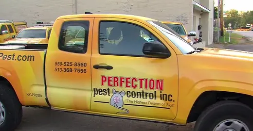 Perfection Pest Control Picture 1